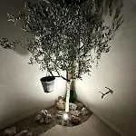 Domus Afrodite - Torre Squillace