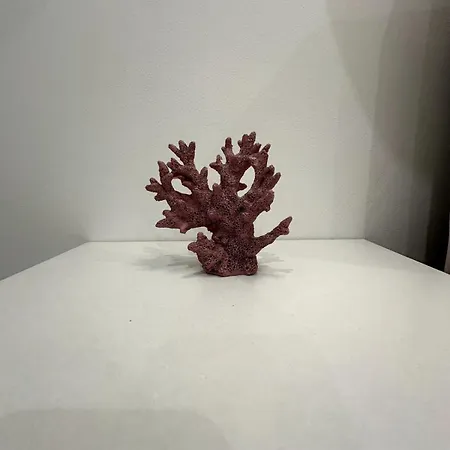 Domus Afrodite - * Torre Squillace