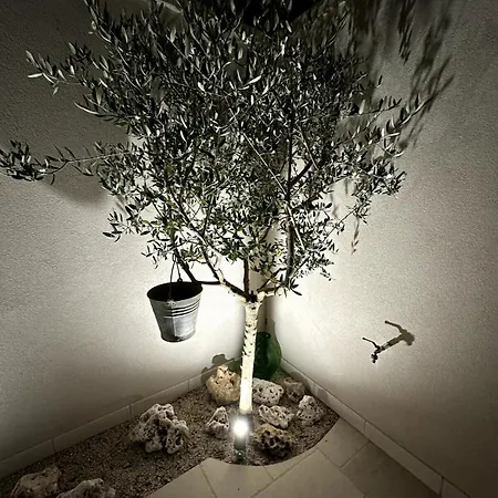 Domus Afrodite - Torre Squillace