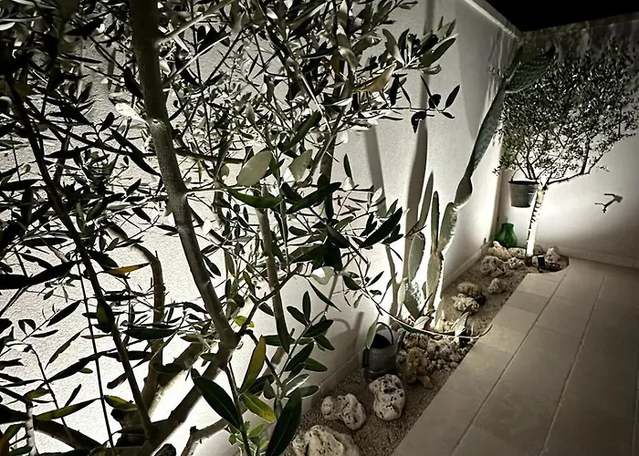 Domus Afrodite -